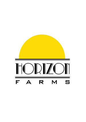 Logo Design by Osheen