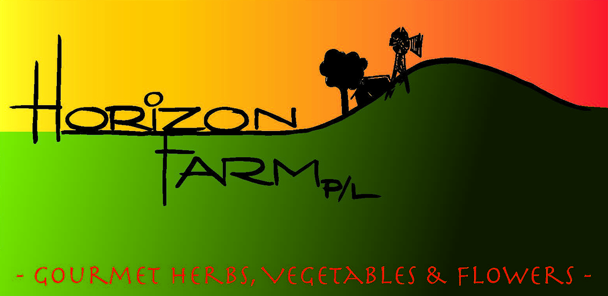 Logo Design by Zemp Designed for Wolf Group | Design #2984728