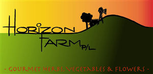 Logo Design by Zemp Designed