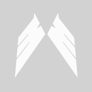 Mama Wingsuit | Logo Design by Mohsart