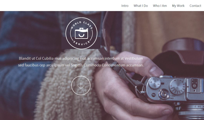 Logo Design by Pen Tool for this project | Design #23245056