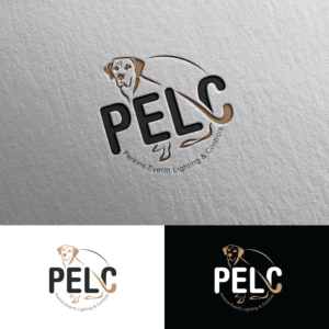 Perkins-Everitt Lighting & Controls | Logo Design by Rii
