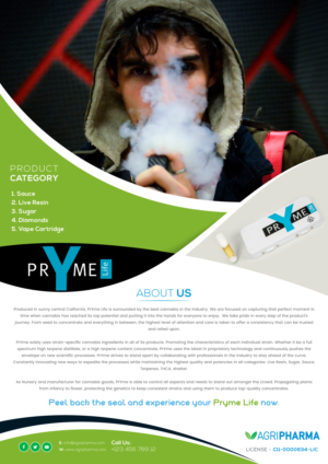 Design de Flyer par Expert Designer pour ce projet | Design #23237890