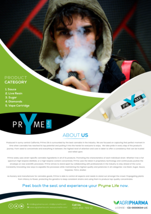 Flyer Design by Expert Designer