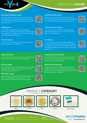 Flyer Design by Expert Designer for this project | Design: #23239305