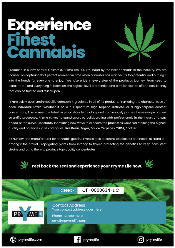 Flyer Design by MEDIA GLASS for this project | Design #23234223