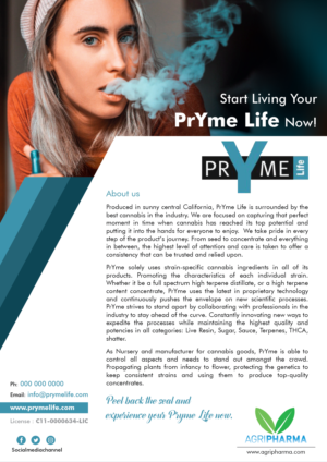 PrYme Cannabis Extracrs Flyer for Cannabis stores and distributors | Flyer Design by Akshar Shailesh