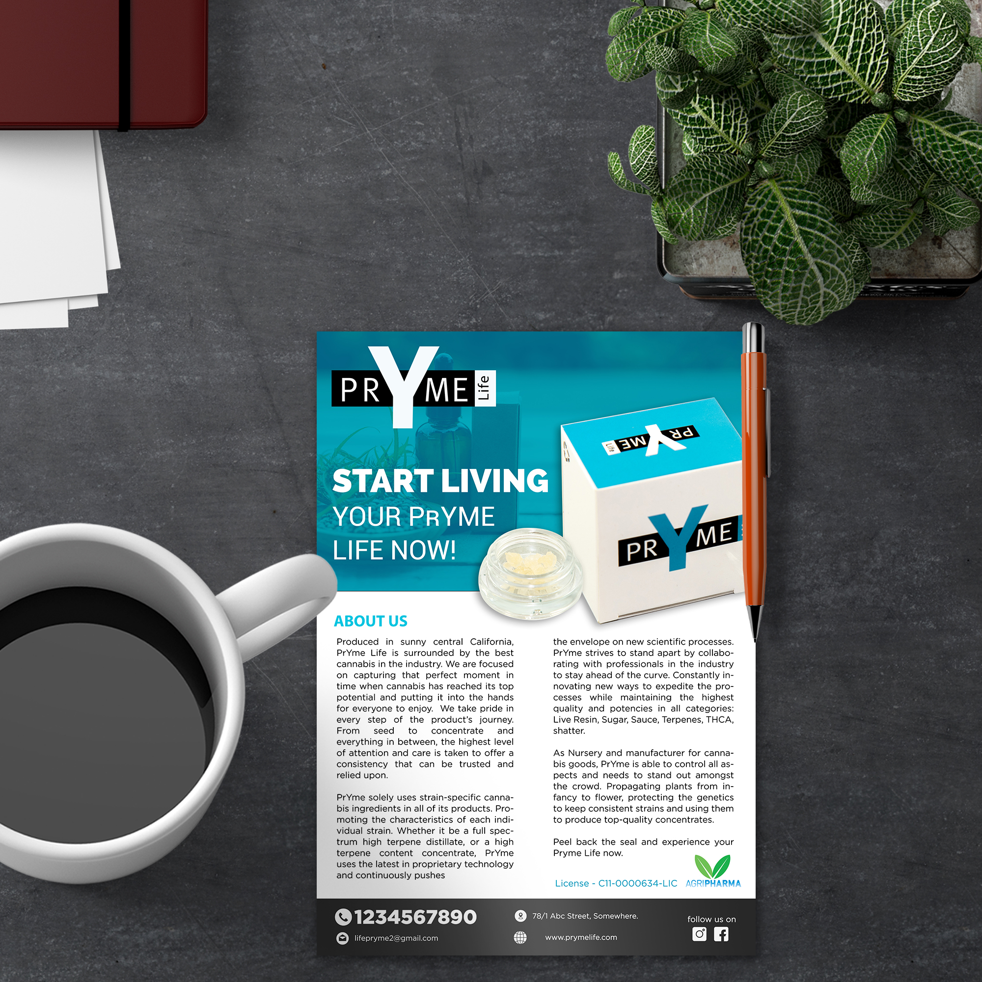 Flyer Design by debdesign for this project | Design #23240499