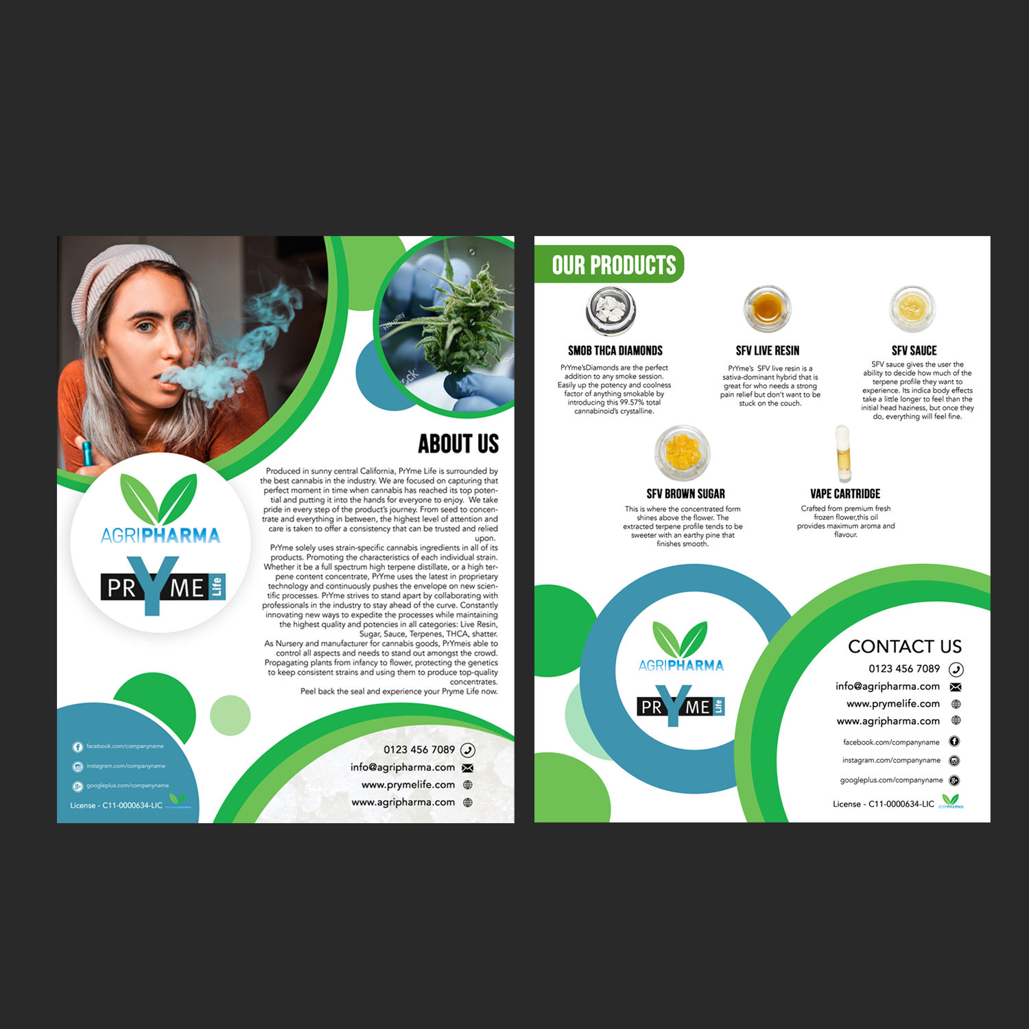 Design de Flyer par Schöpfer pour ce projet | Design #23242524