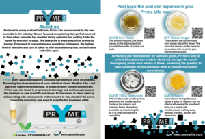 Flyer Design by Kolesoriginal 11 for this project | Design #23242930