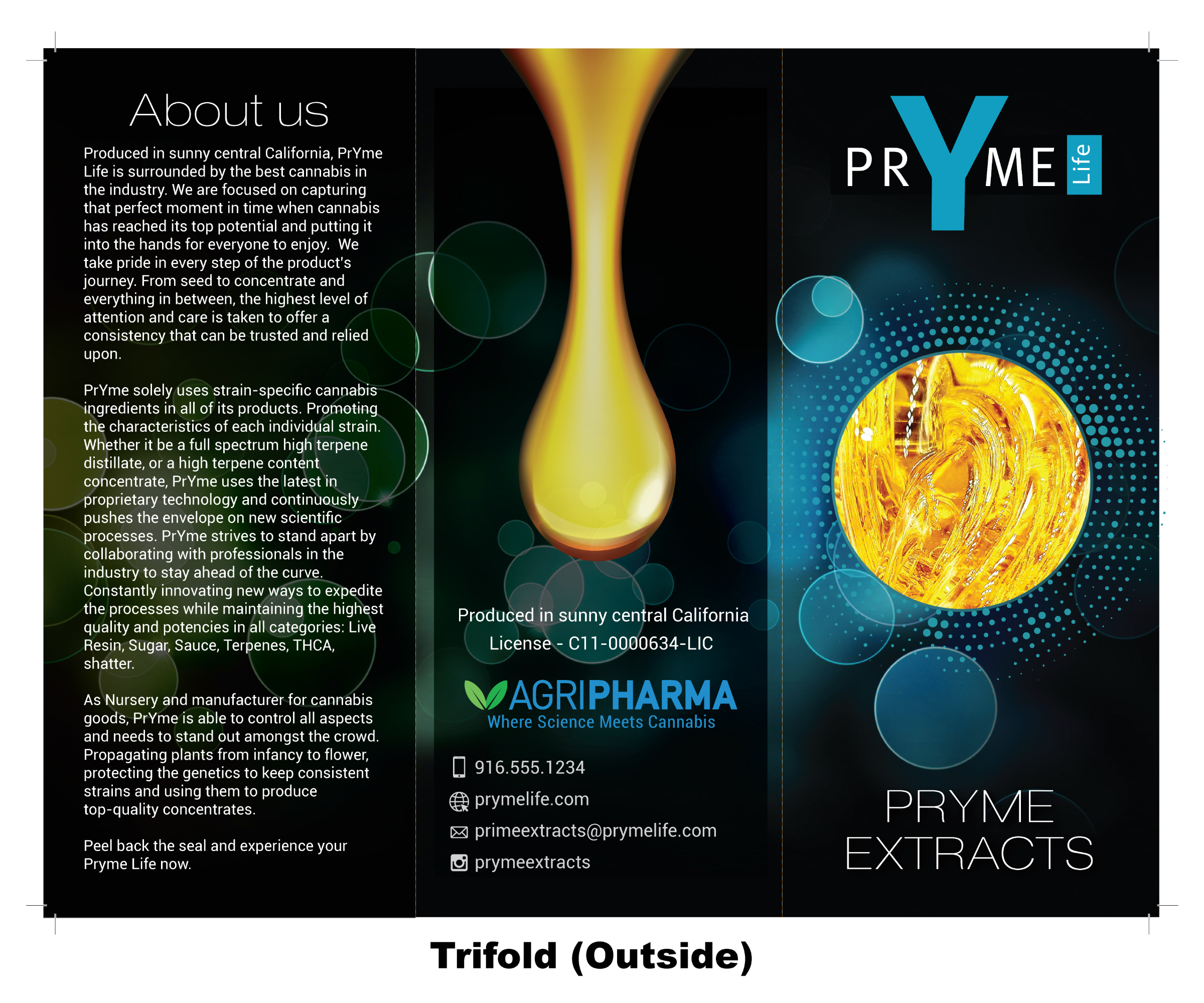 Flyer Design by Ultimate Art for this project | Design #23228276