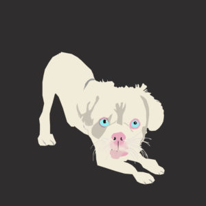 Nats KYD’s company. I require a  2D design of dog named Rocco in a puppy dog pose * | Diseño Gráfico por AnneWanjiku