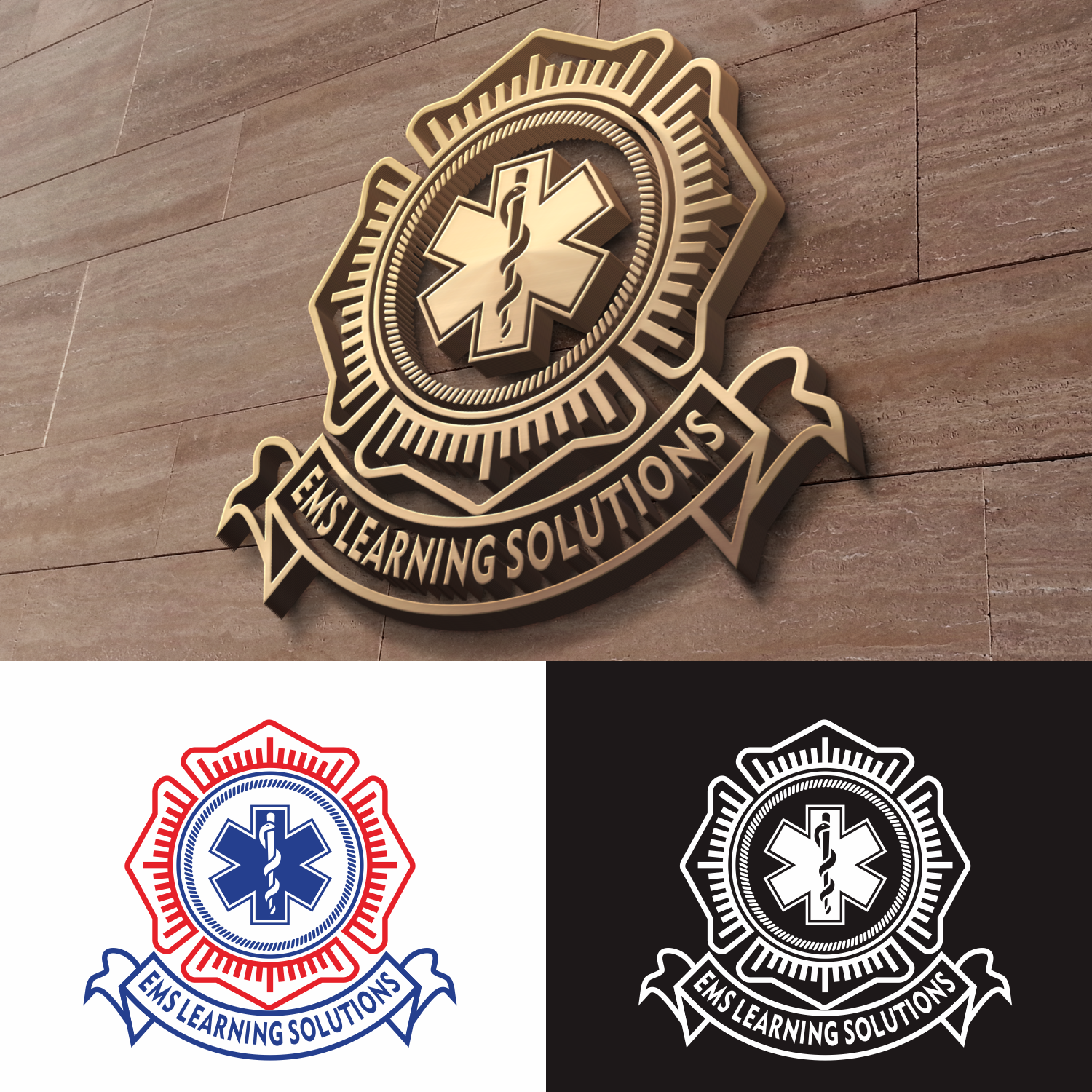 Diseño de Logo por Doddy.K.Insani para EMS Learning Solutions | Diseño #23236178