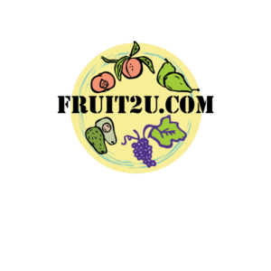 Logo Design by annelada96