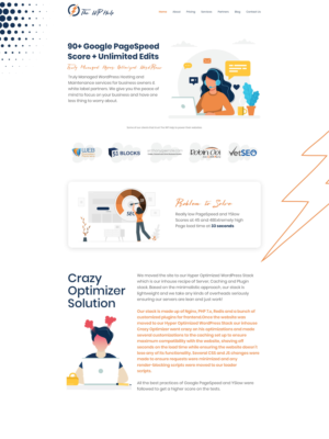 Landing Page Design by Impressive Sol