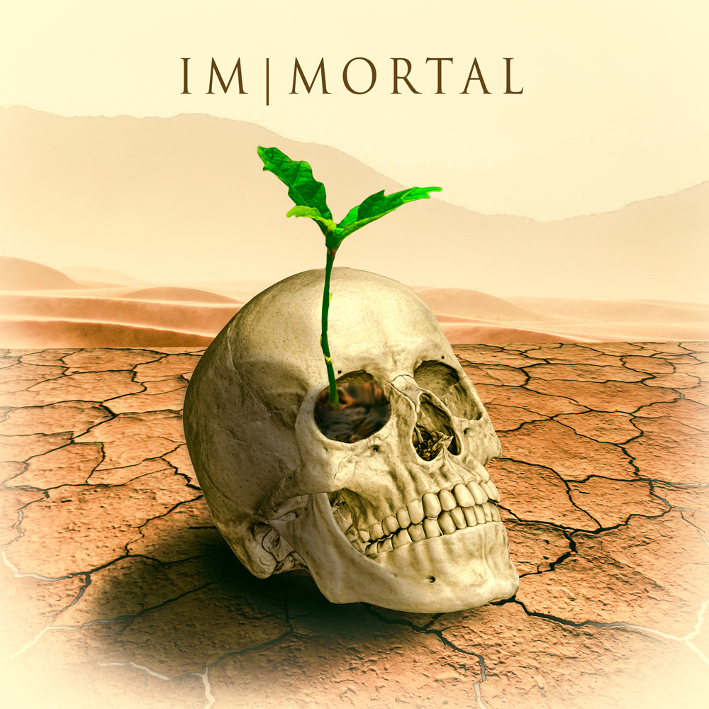 CD Cover Design by Wally_F for this project | Design #23252351