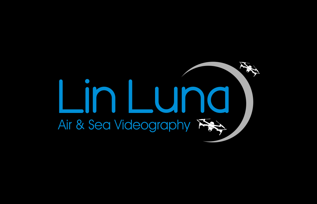 Diseño de Logo por soulpro03 para este proyecto | Diseño #23267370