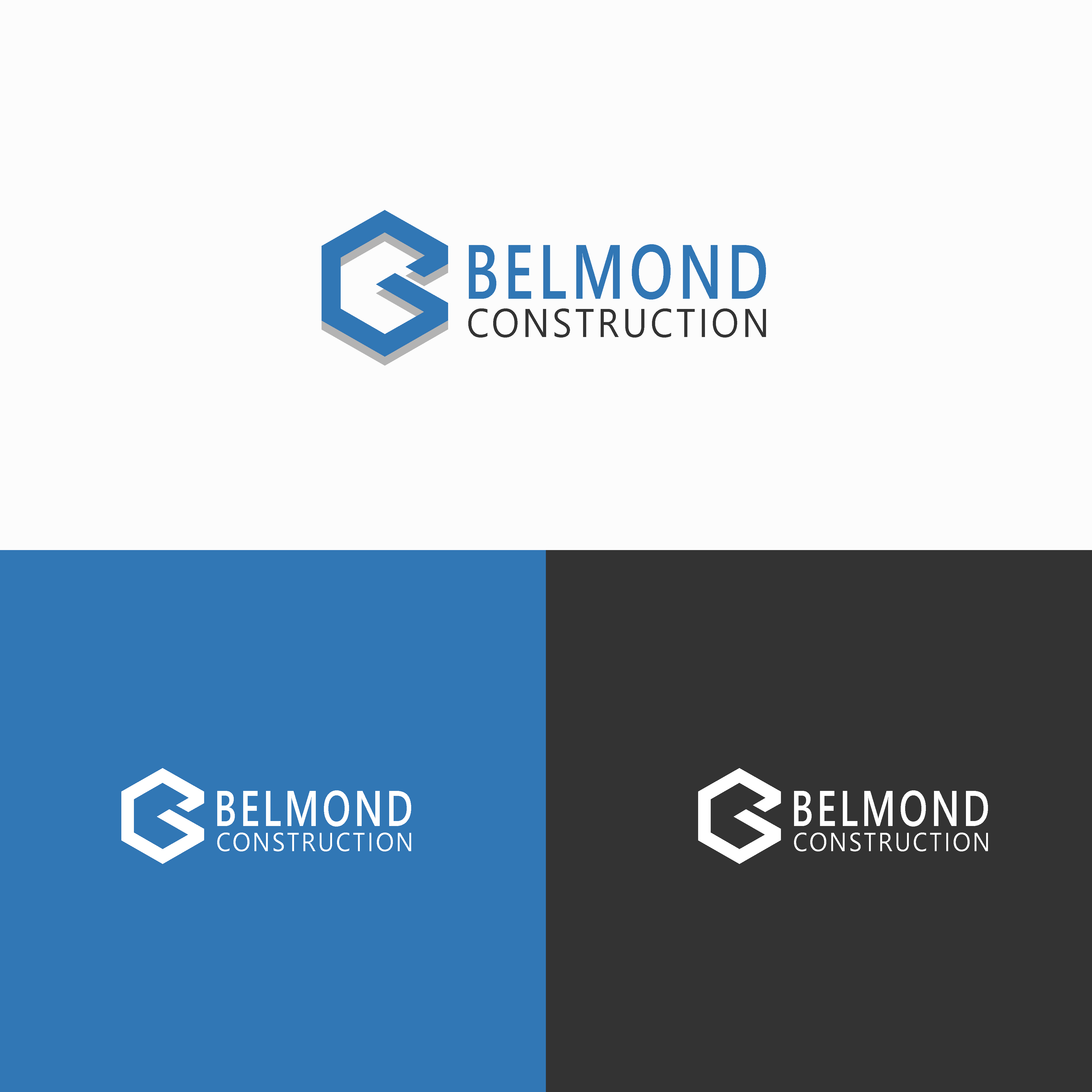 Logo Design by ADIL HUSSAIN for this project | Design #23284769