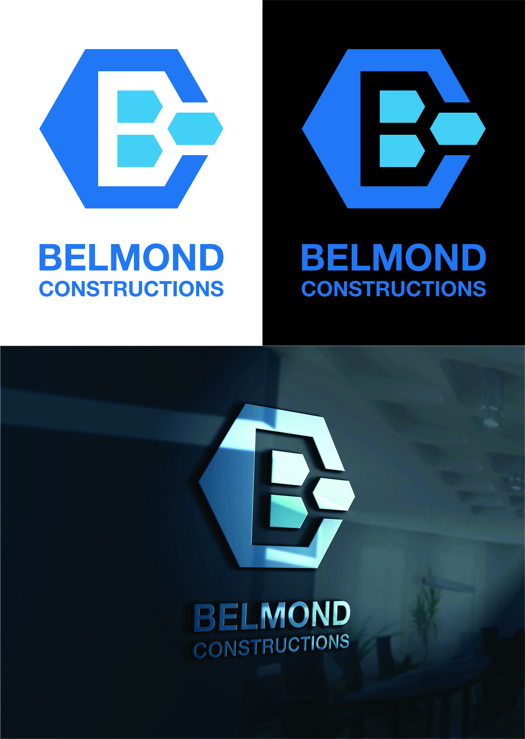 Diseño de Logo por Basiran B90 para este proyecto | Diseño #23285119