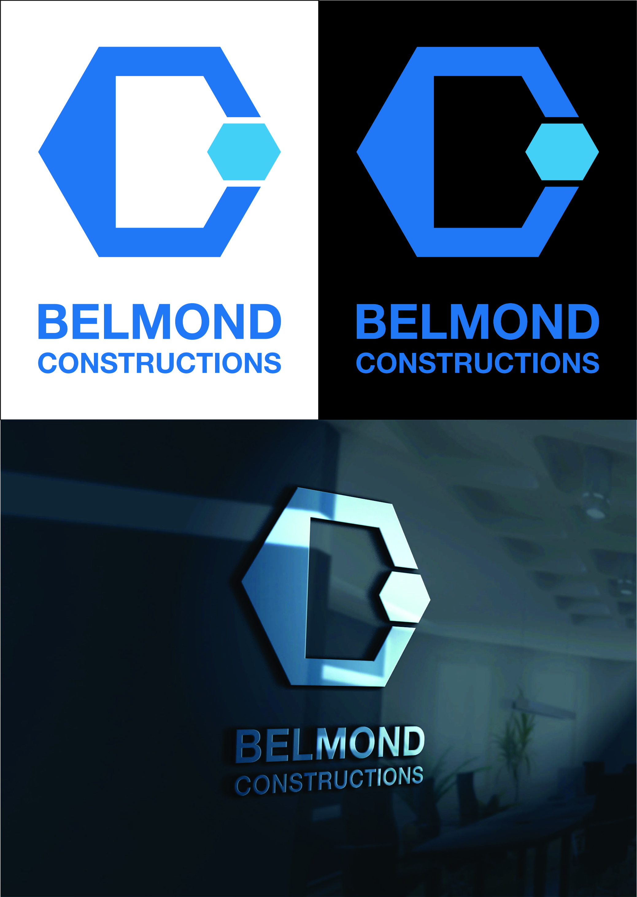 Diseño de Logo por Basiran B90 para este proyecto | Diseño #23285127