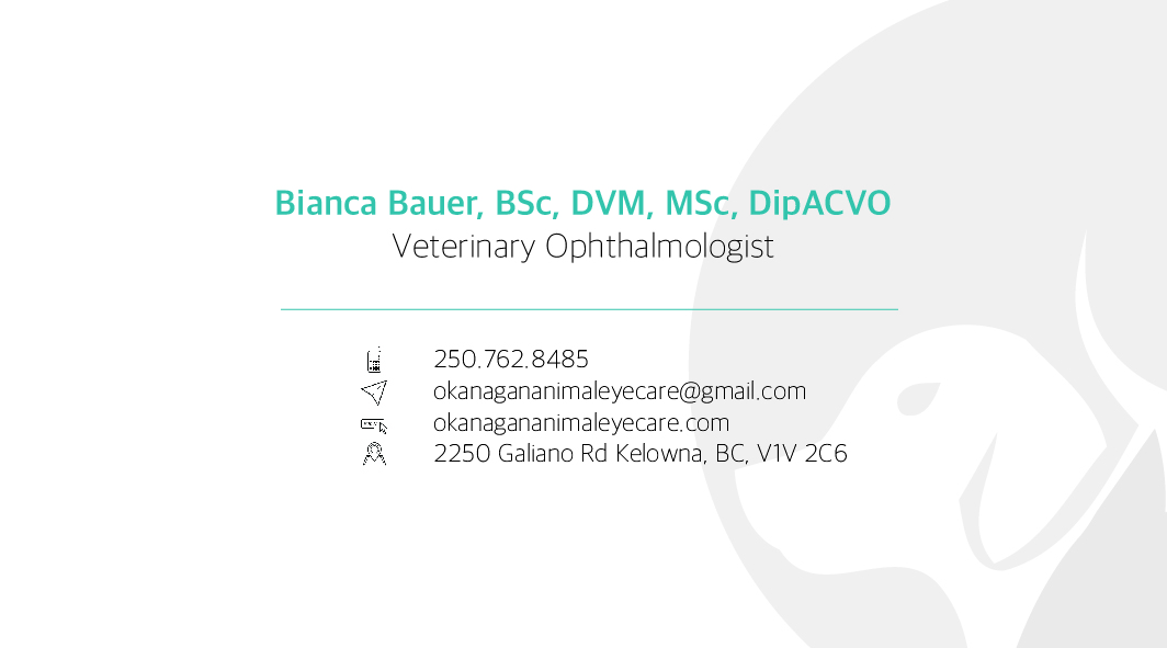 Business Card Design by iCharles for this project | Design #23286023