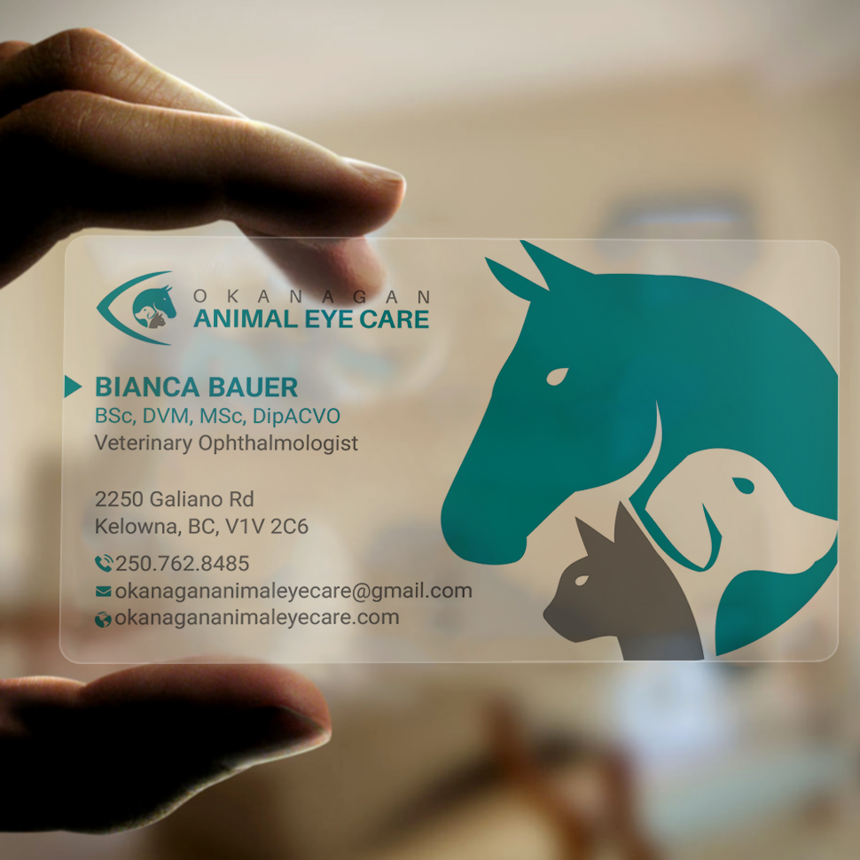 Design de Carte de Visite par DesignShout pour ce projet | Design #23285059