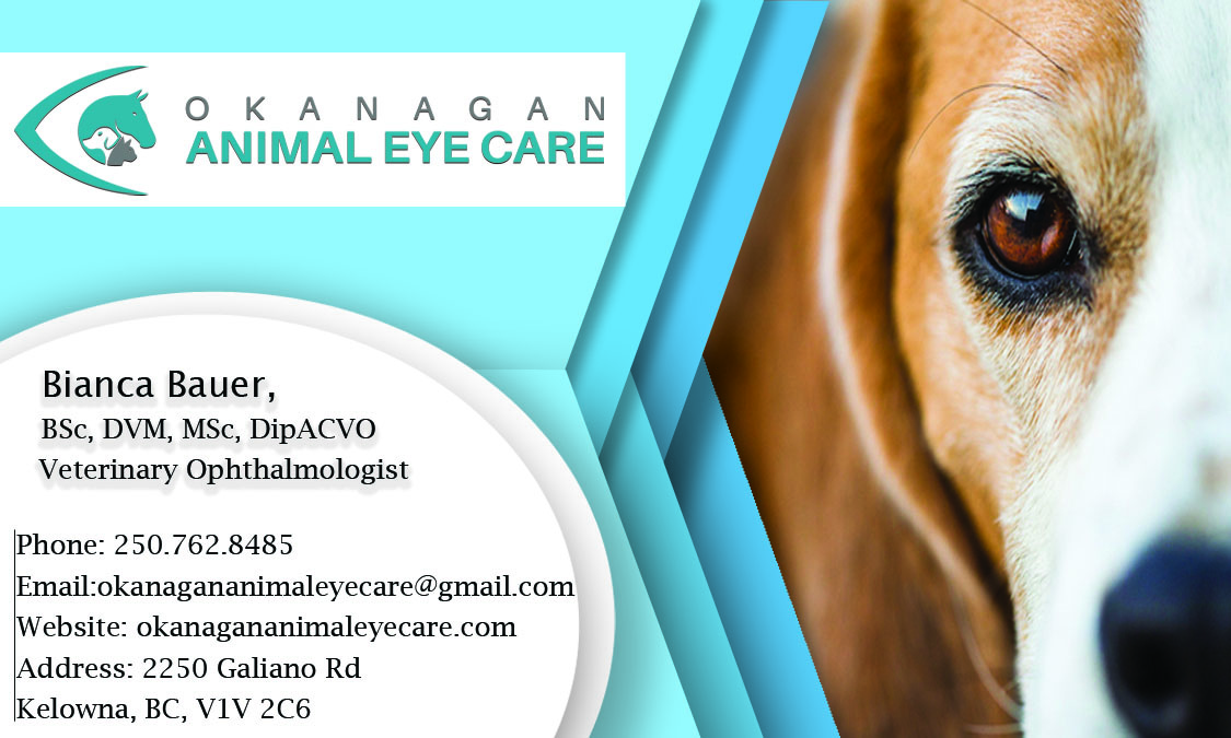 Business Card Design by DBoy 3 for this project | Design #23319466