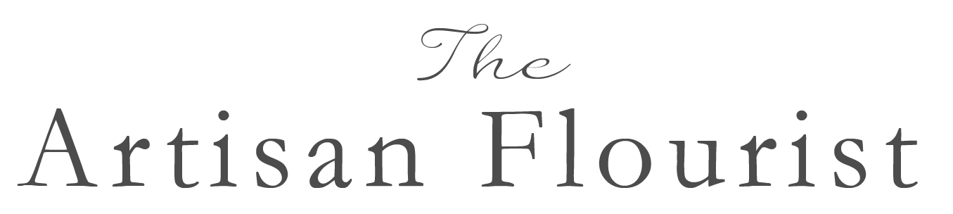 Logo Design by Lindsey Shepherd for this project | Design #2989925