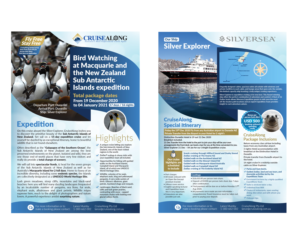 Flyer Design by Ultimate Art for CruiseAlong Pty Ltd | Design: #23350195