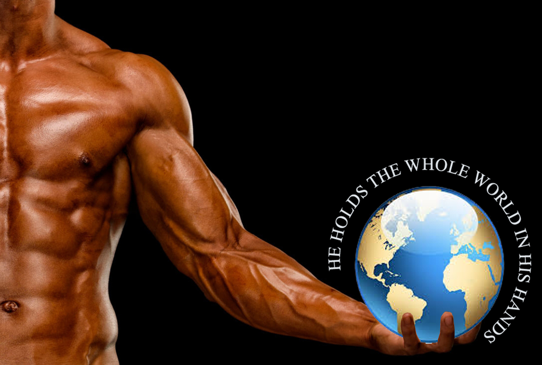 Illustration Design by edirectoryprogram for this project | Design #23339837