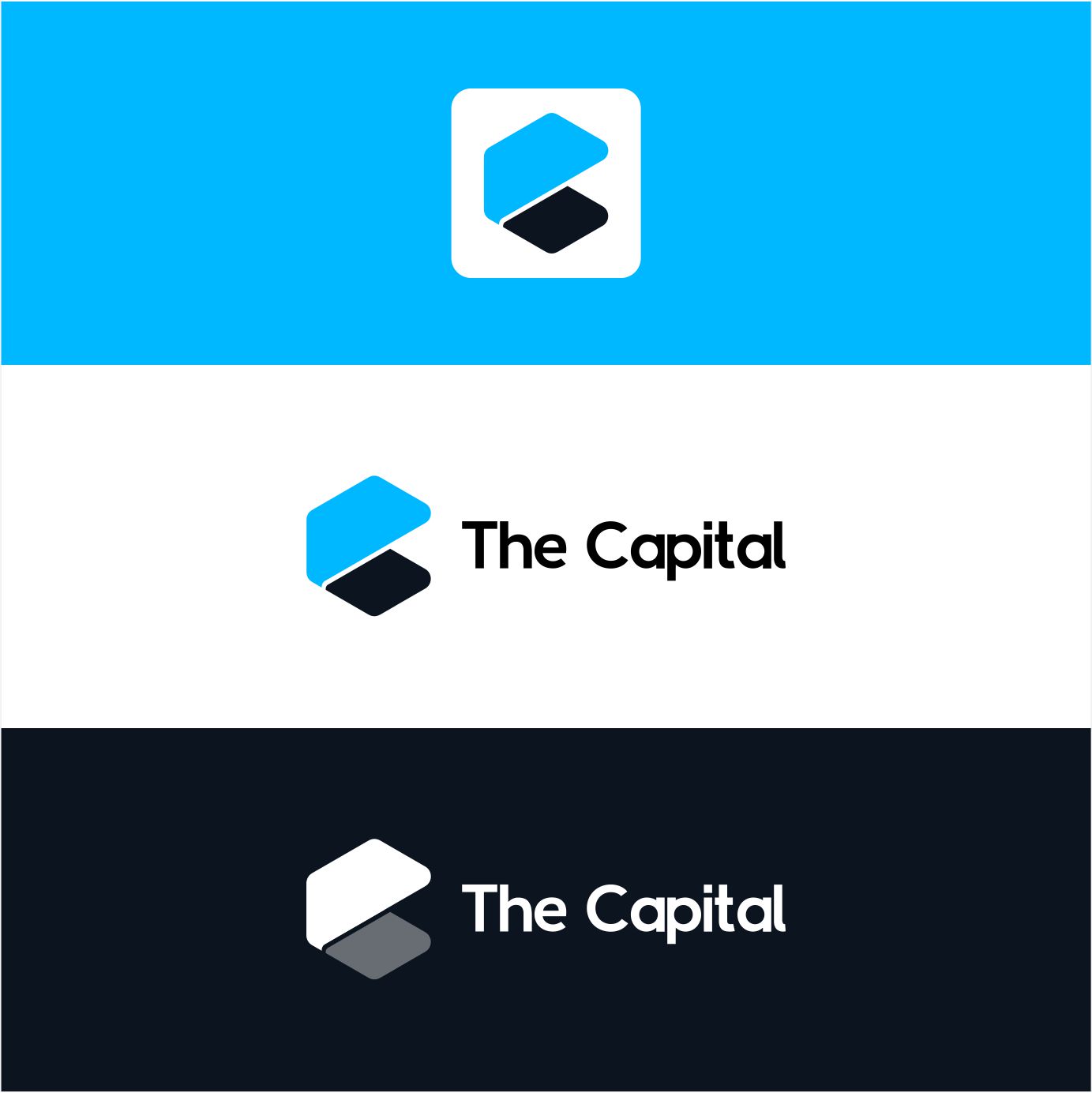 Logo Design by Creative M^ck for The Capital | Design #23345511