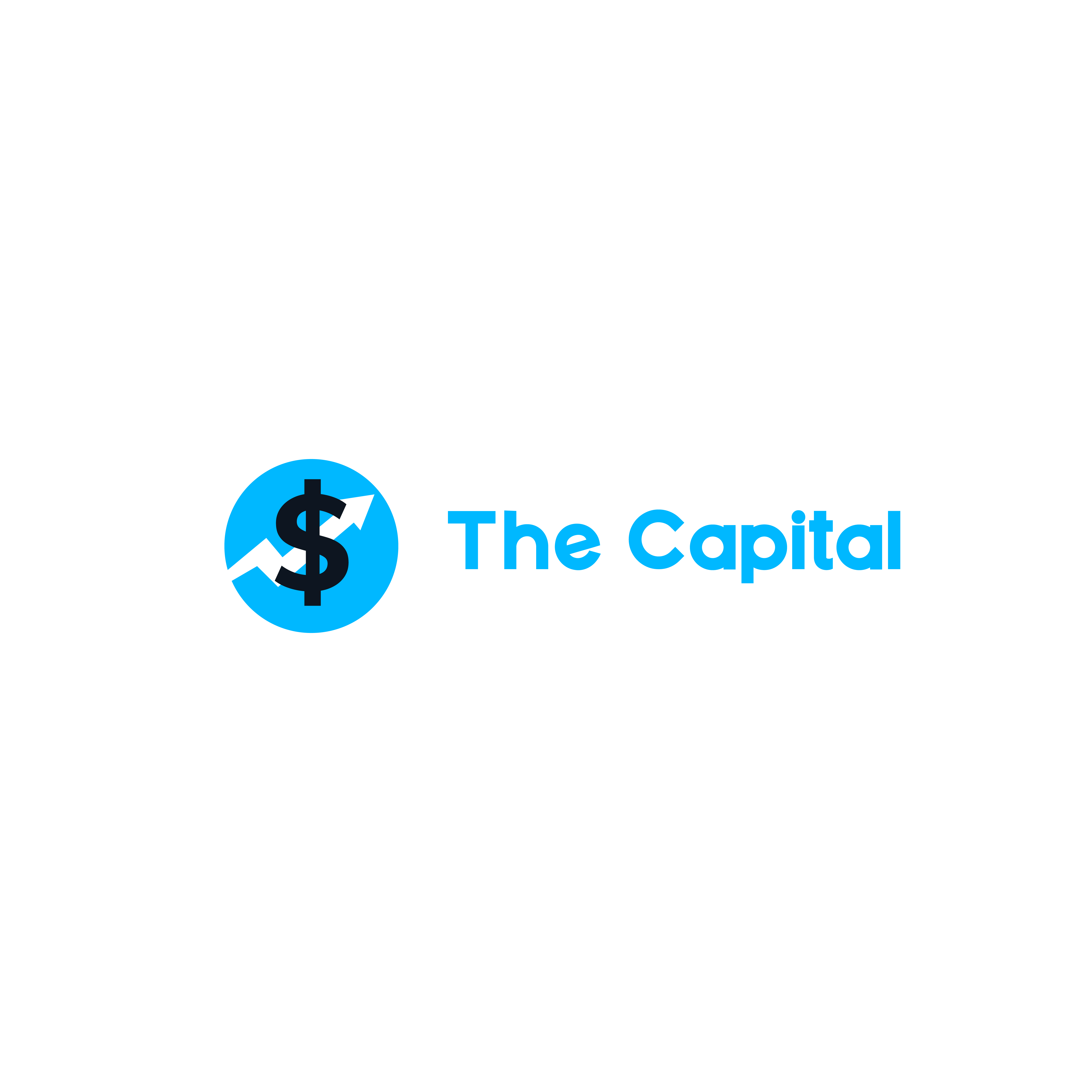 Logo Design by A.R.D.P for The Capital | Design #23354665