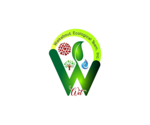 Logo Design by JampeLabs for this project | Design: #23343413