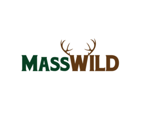 MassWILD | Logo Design by renderman