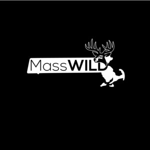 Logo Design by Brittany Lori