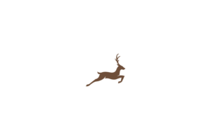 Logo Design by bayoemay