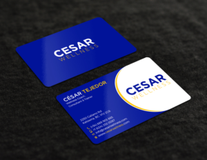 Business Card Design by Tripti Ranjan Gain for this project | Design: #23343261
