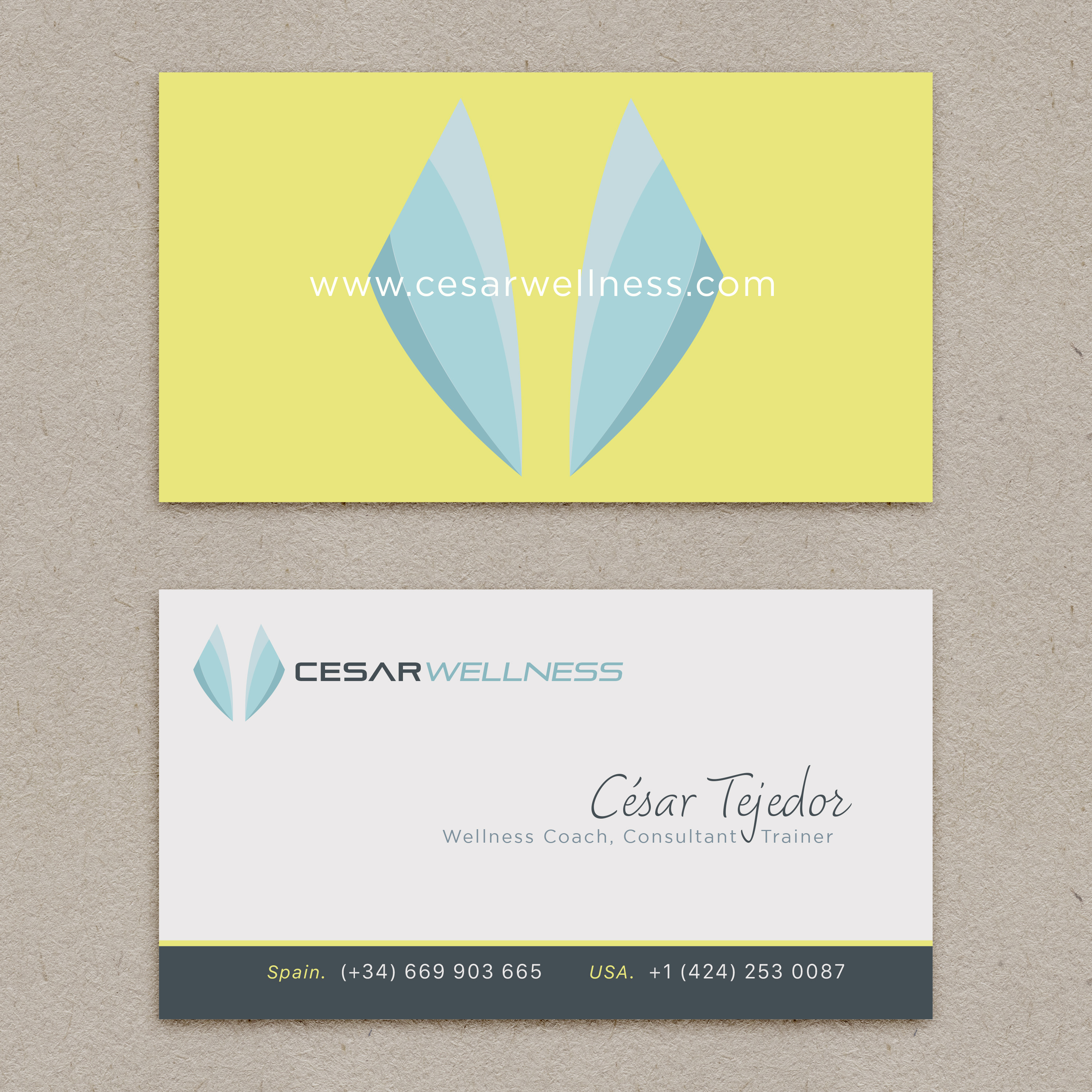 Design de Carte de Visite par sinem akca69 pour ce projet | Design #23400824