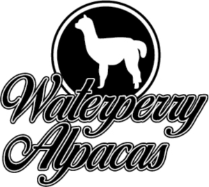 Logo Design by Frank Brittner Graphics for this project | Design: #23348425