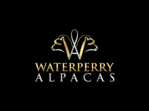 Logo Design by Design jon