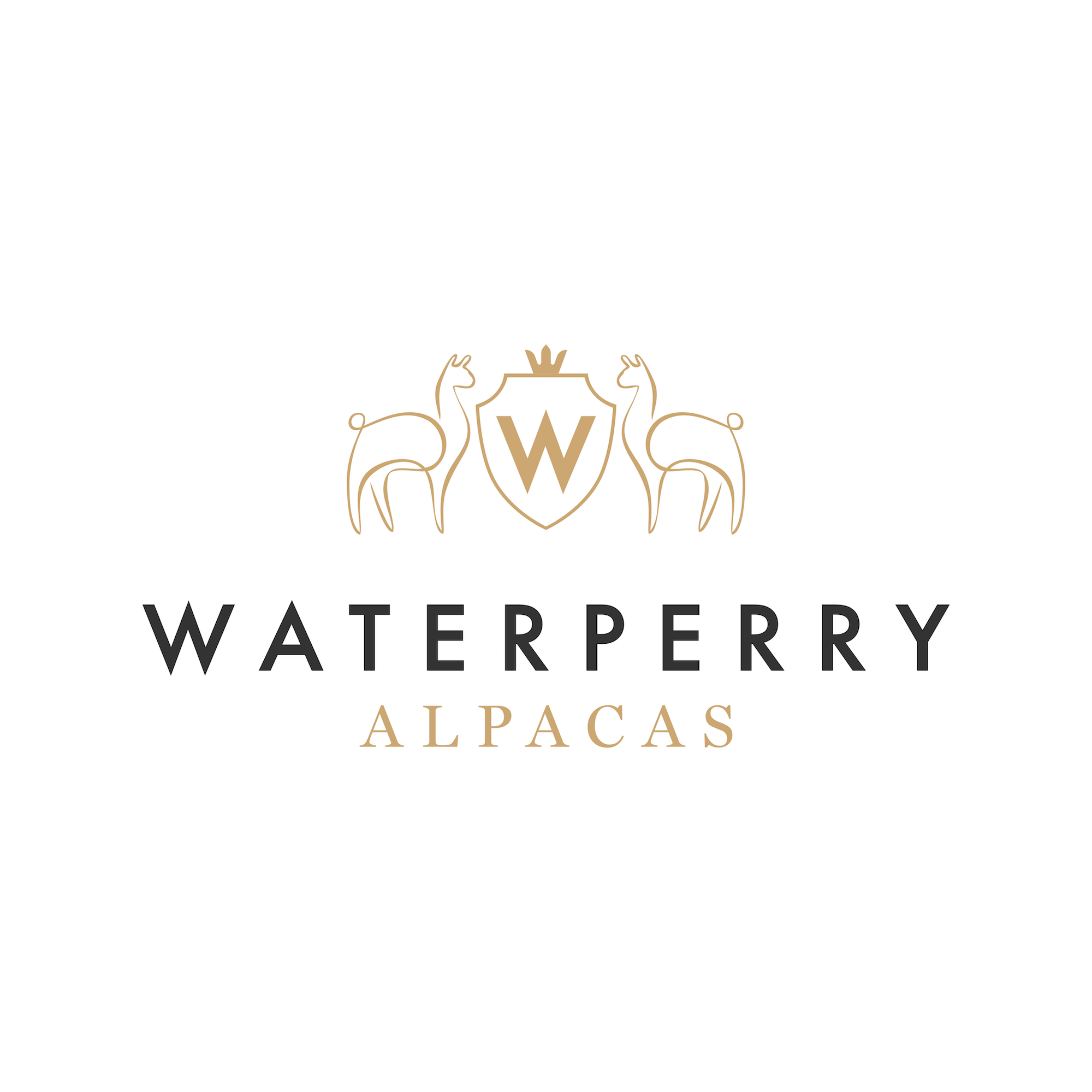 Logo Design by Martinha for this project | Design #23337935