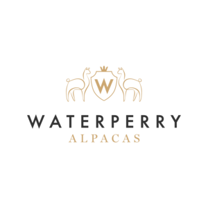 Logo Design by Martinha