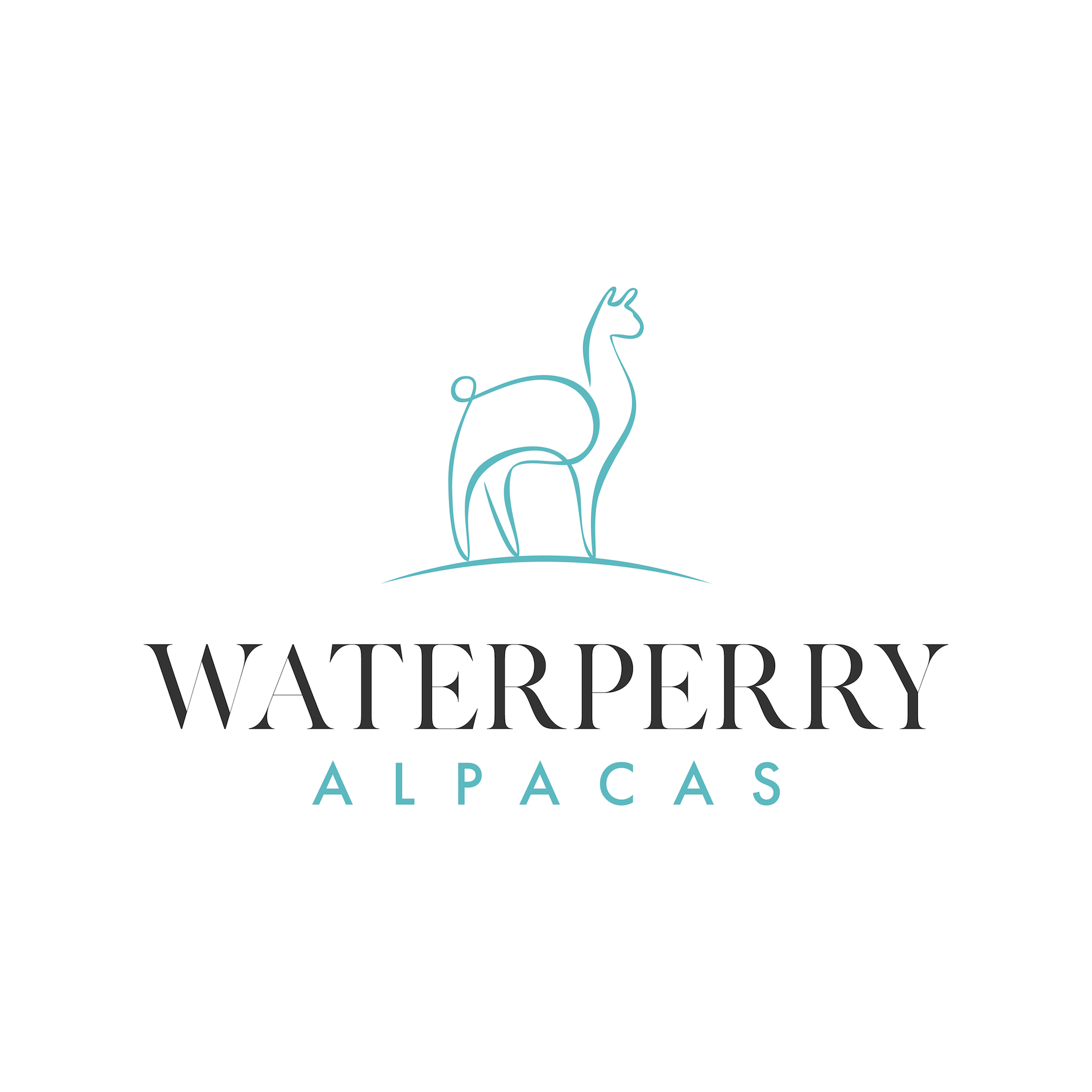 Logo Design by Martinha for this project | Design #23338041