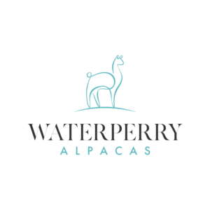 Logo Design by Martinha for this project | Design: #23338041