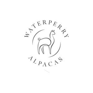Logo Design by Martinha for this project | Design: #23338379