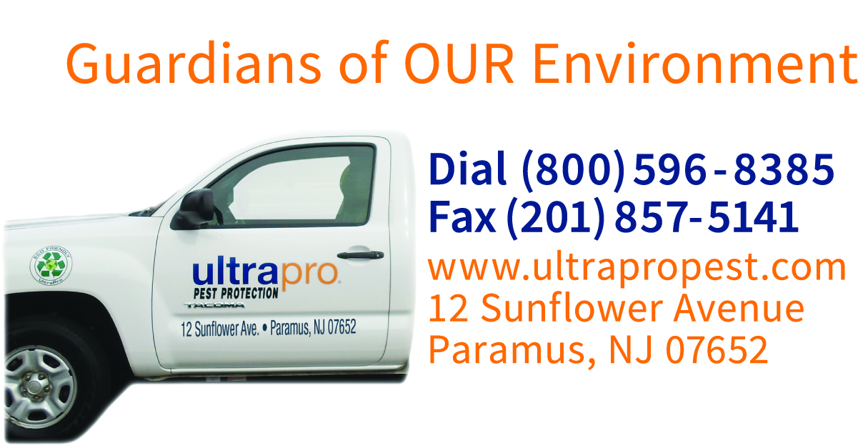 Diseño de Tarjeta de Presentación por Kaylen O'neill para este proyecto | Diseño #23338553