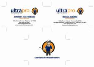 Business Card Design by Eugenius