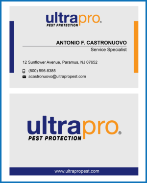 Business Card Design by Tajmul Islam