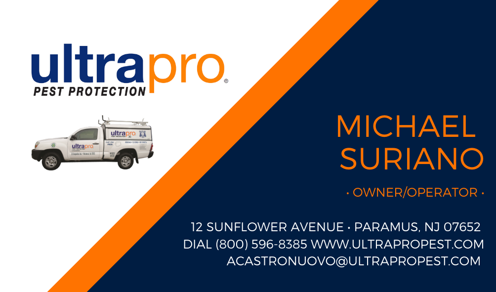 Business Card Design by audreydiane for this project | Design #23372099