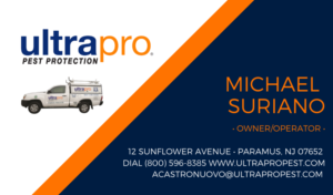 Diseño de Tarjeta de Presentación por audreydiane para este proyecto | Diseño: #23372099